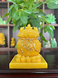 TÚI KIM TIỀN SIZE NHỎ